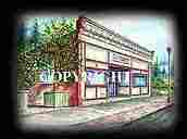 STEVE VAN DYKE AGENCY